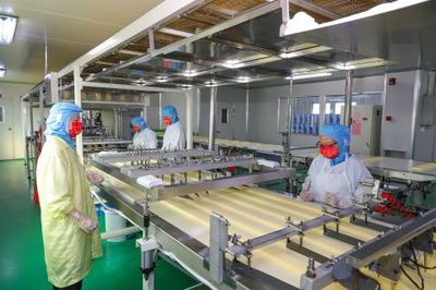 鉚足干勁忙生產，產業發展勢頭足——透視現代食品生產的蓬勃氣象
